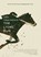 The Lions' Run, Sara Pennypacker - Paperback - 9781444985214