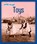 Info Buzz: History: Toys, Izzi Howell - Paperback - 9781445164755