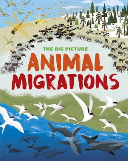 The Big Picture: Animal Migrations, Jon Richards - Paperback - 9781445169873