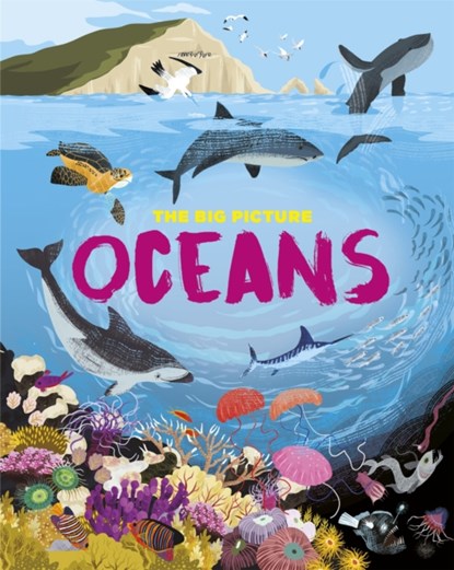 The Big Picture: Oceans, Jon Richards - Gebonden - 9781445170527