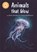 Reading Champion: Animals that Glow, Katie Woolley - Gebonden - 9781445176376