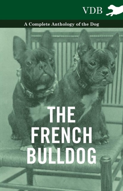 The French BullDog A Complete Anthology of the Dog, Various (selected by the Federation of Children's Book Groups) - Paperback - 9781445526065