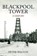 Blackpool Tower A History, Peter Walton - Paperback - 9781445644981