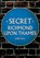 Secret Richmond upon Thames, Andy Bull - Paperback - 9781445698823