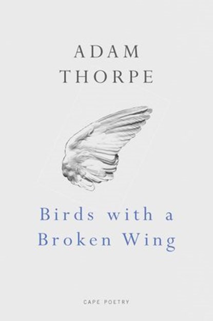 Birds With A Broken Wing, Adam Thorpe - Ebook - 9781446434079