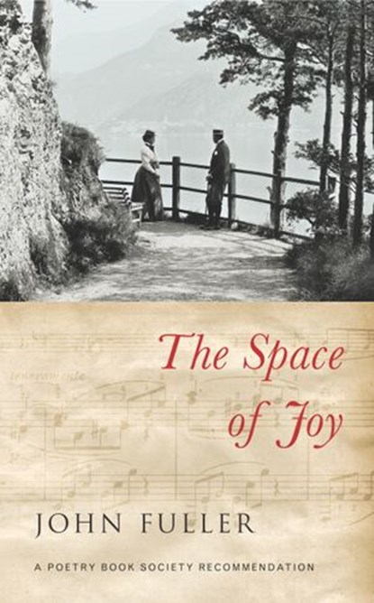 The Space of Joy, John Fuller - Ebook - 9781446499993