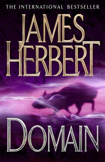 Domain, James Herbert - Ebook - 9781447203384