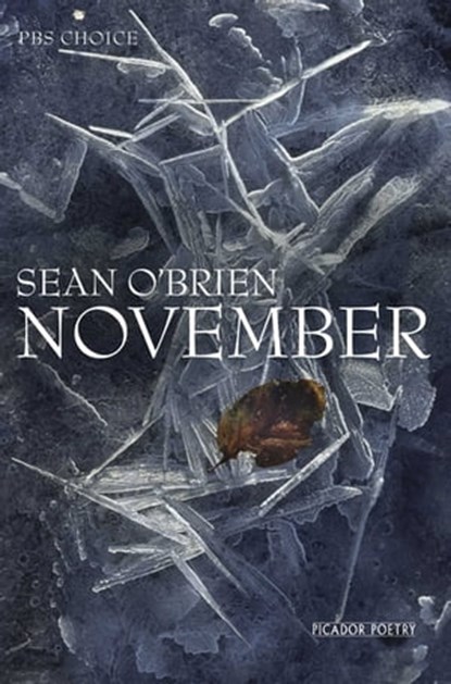 November, Sean O'Brien - Ebook - 9781447218043