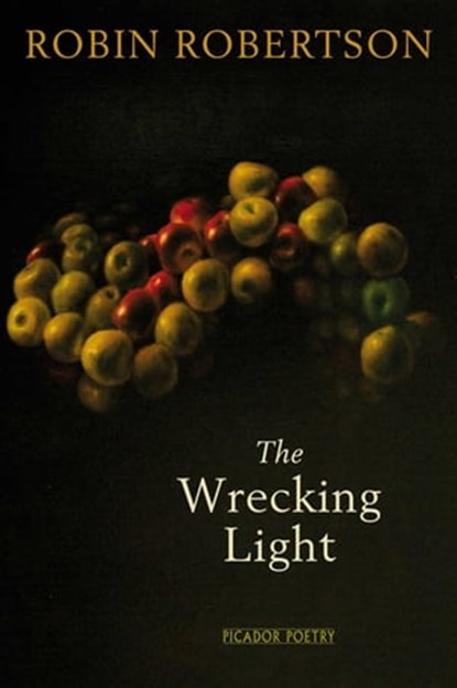 The Wrecking Light, Robin Robertson - Ebook - 9781447218135