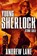 Stone Cold, Andrew Lane - Paperback - 9781447228011