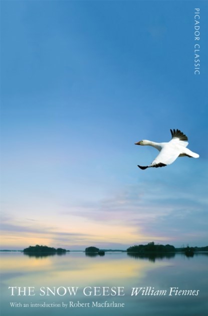The Snow Geese, William Fiennes - Paperback - 9781447275442