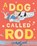 A Dog Called Rod, HOPGOOD,  Tim - Paperback - 9781447276777