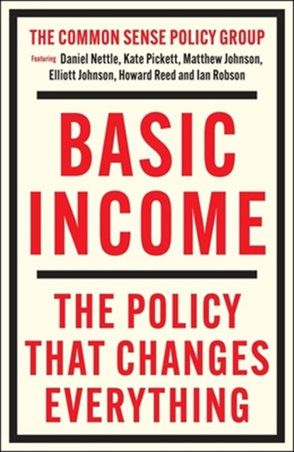 Basic Income, Matthew (Northumbria University) Johnson ; Kate (University of York) Pickett ; Daniel (Northumbria University) Nettle ; Howard (Northumbria University) Reed - Paperback - 9781447374008