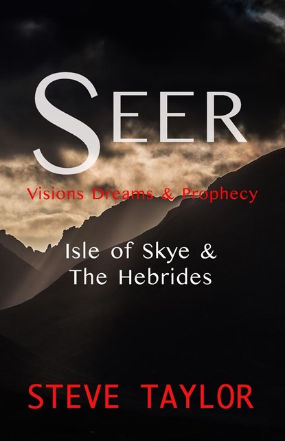 Seer, Steve Taylor - Paperback - 9781447833994