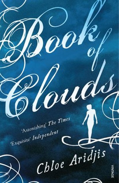 Book of Clouds, Chloe Aridjis - Ebook - 9781448113446