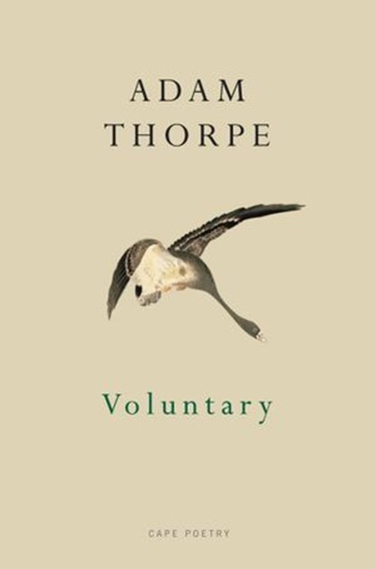 Voluntary, Adam Thorpe - Ebook - 9781448137336