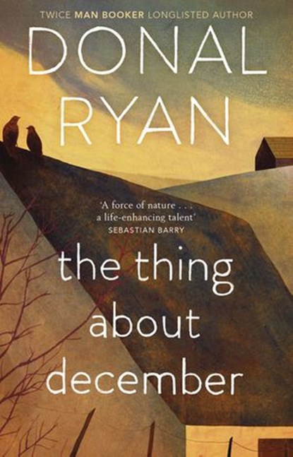 The Thing About December, Donal Ryan - Ebook - 9781448154043
