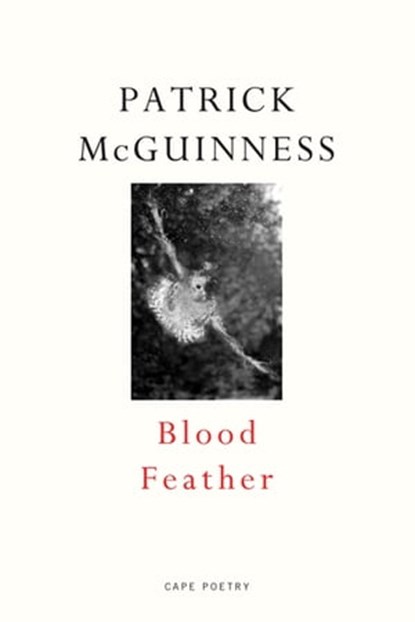 Blood Feather, Patrick McGuinness - Ebook - 9781448182350