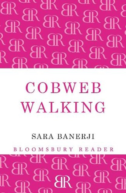 Cobweb Walking, Sara Banerji - Paperback - 9781448208333