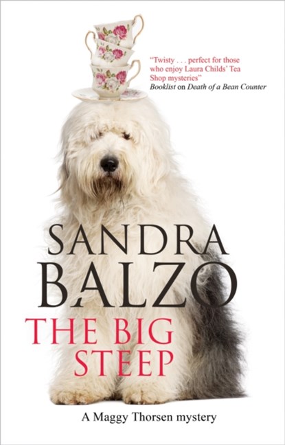 The Big Steep, Sandra Balzo - Paperback - 9781448306251