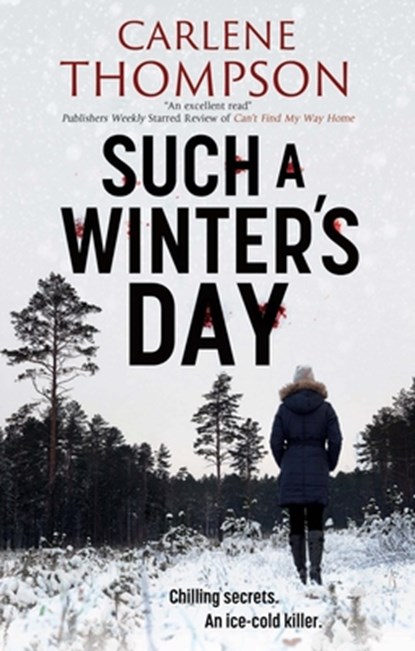 Such a Winter's Day, Carlene Thompson - Paperback - 9781448307241