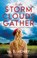 As the Storm Clouds Gather, M. B. Henry - Gebonden - 9781448315536