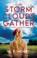 As the Storm Clouds Gather, M. B. Henry - Gebonden - 9781448317851