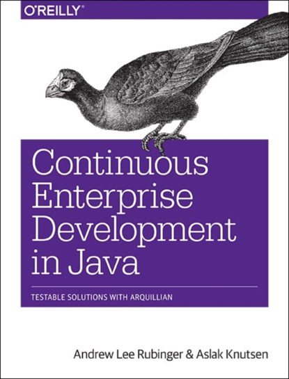 Continuous Enterprise Development in Java, Andrew Lee Rubinger - Paperback - 9781449328290
