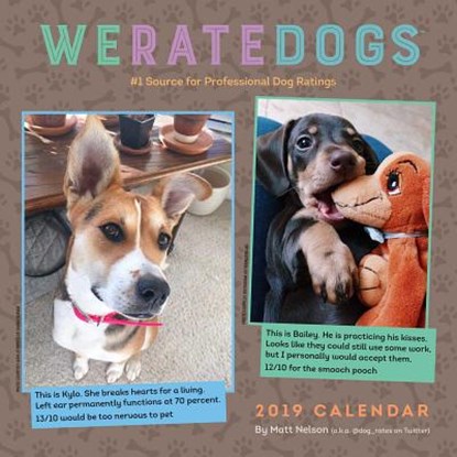 We Rate Dogs 2019 Square Wall Calendar, Matt Nelson - Paperback - 9781449492953