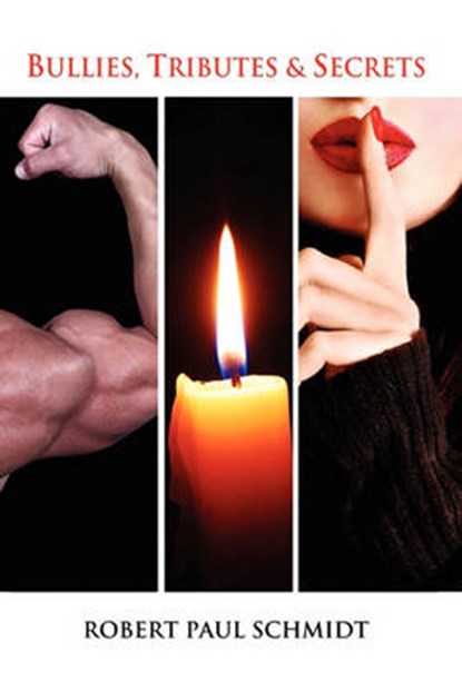 Bullies, Tributes & Secrets, Robert Paul Schmidt - Paperback - 9781450052665