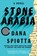 Stone Arabia, Dana Spiotta - Paperback - 9781451617979