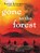 Gone to the Forest, Katie Kitamura - Paperback - 9781451656640