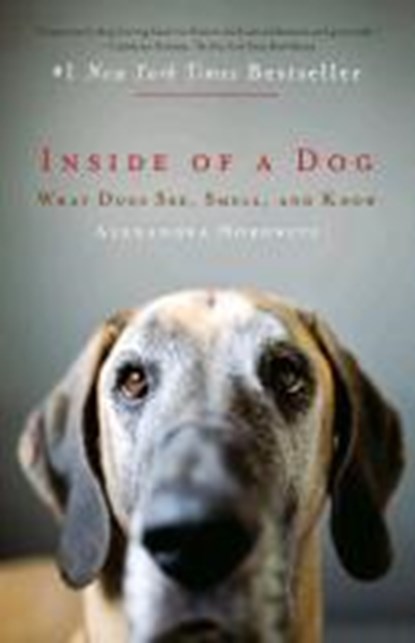 Inside of a Dog, Alexandra Horowitz - Paperback - 9781451672756