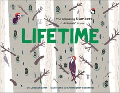 Lifetime, Lola M. Schaefer - Ebook - 9781452129747