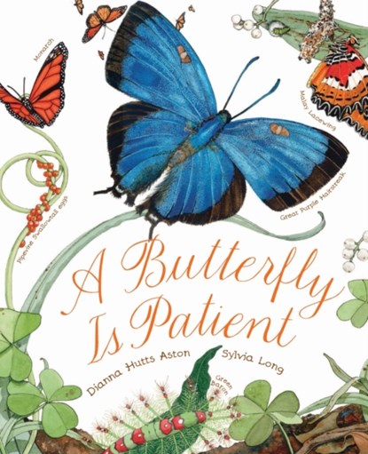 A Butterfly Is Patient, Dianna Hutts Aston - Paperback - 9781452141244