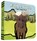 Little Moose: Finger Puppet Book, Chronicle Books - Paperback Gebonden - 9781452142319