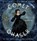 Comet Chaser, Pamela S. Turner - Gebonden - 9781452145433