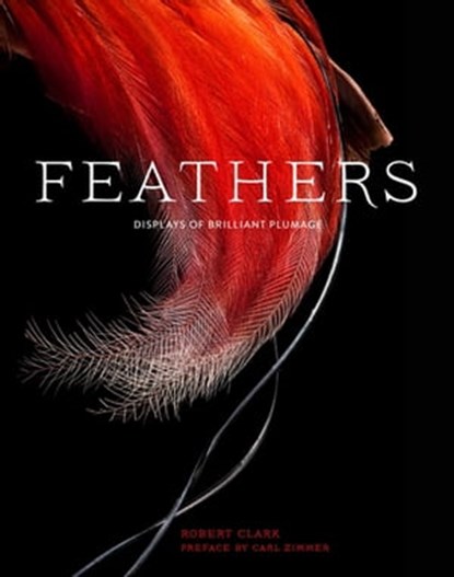Feathers, Robert Clark ; Carl Zimmer - Ebook - 9781452148922