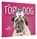 Top Dog, DAVIDSON,  Carli - Gebonden - 9781452151342