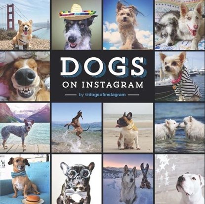 Dogs On Instagram, @dogsofinstagram - Gebonden - 9781452151977