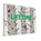 Lifetime, Lola M. Schaefer - Paperback - 9781452152103