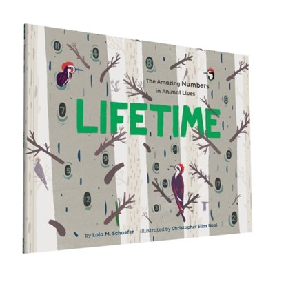 Lifetime, Lola M. Schaefer - Paperback - 9781452152103