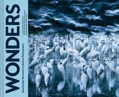 Wonders, Rhonda Rubinstein - Ebook - 9781452164670