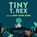 Tiny T. Rex and the Very Dark Dark, Jonathan Stutzman - Gebonden - 9781452170343