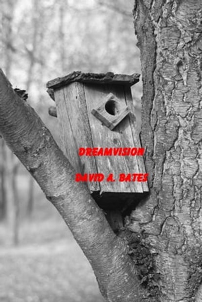 DreamVision, David Bates - Ebook - 9781452315812