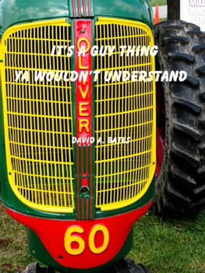 Hey, It's a Guy Thing, David Bates - Ebook - 9781452338309