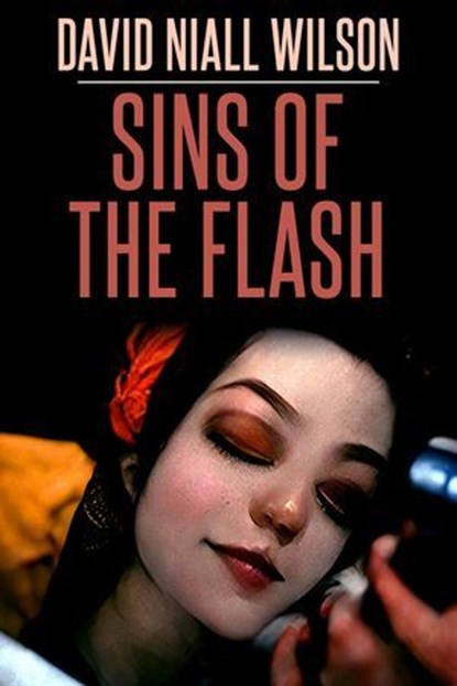 Sins of the Flash, David Niall Wilson - Ebook - 9781452488035