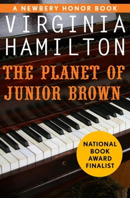 The Planet of Junior Brown, Virginia Hamilton - Ebook - 9781453213797