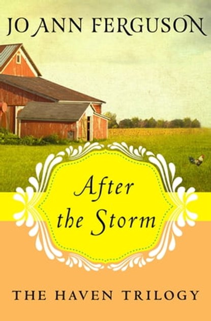 After the Storm, Jo Ann Ferguson - Ebook - 9781453248478