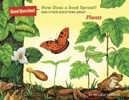 How Does a Seed Sprout?: And Other Questions about Plants, Melissa Stewart - Paperback - 9781454906711